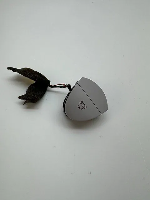 SOS Button Mercedes-Benz E350 W211 2007 A2118213751