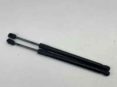 2014-2019 BMW X5 F15 SIDE HOOD BONNET LIFT SUPPORT SHOCK STRUT OEM 2 pieces